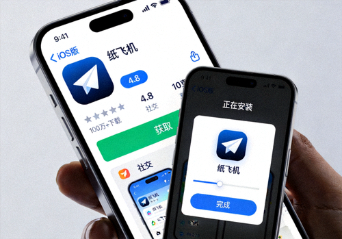 纸飞机iOS版在App Store中的下载页面截图及手机安装界面